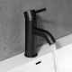 Studio G Black Basin Mixer